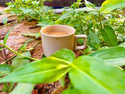 Samarth Atc-Beach Home Stay Ratnāgiri Exterior foto